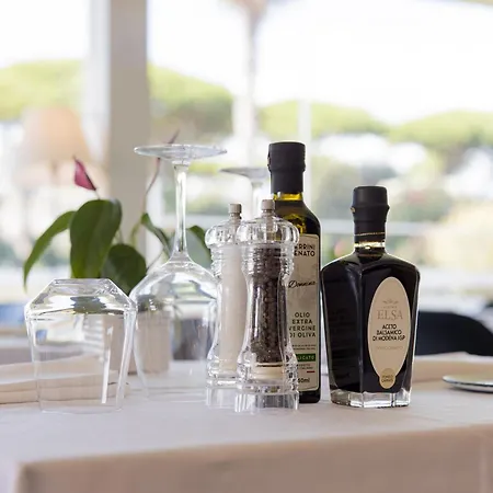 Hotel Viareggio Viareggio