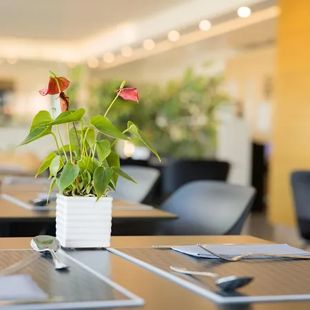 Hotel Viareggio Hotel