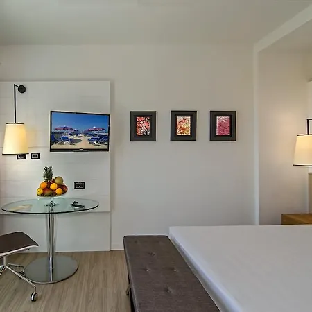 Hotel Hotel Viareggio Viareggio